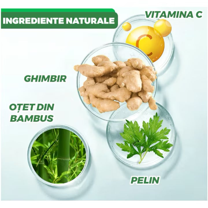 Plasturi detoxifianti Kinoki